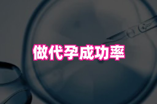 北京助孕网 1