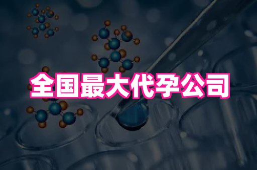 北京助孕网 2