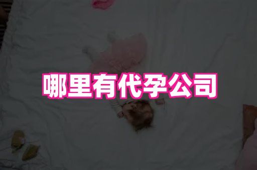 北京助孕网 3