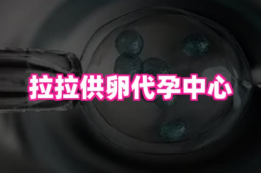 北京助孕网 4
